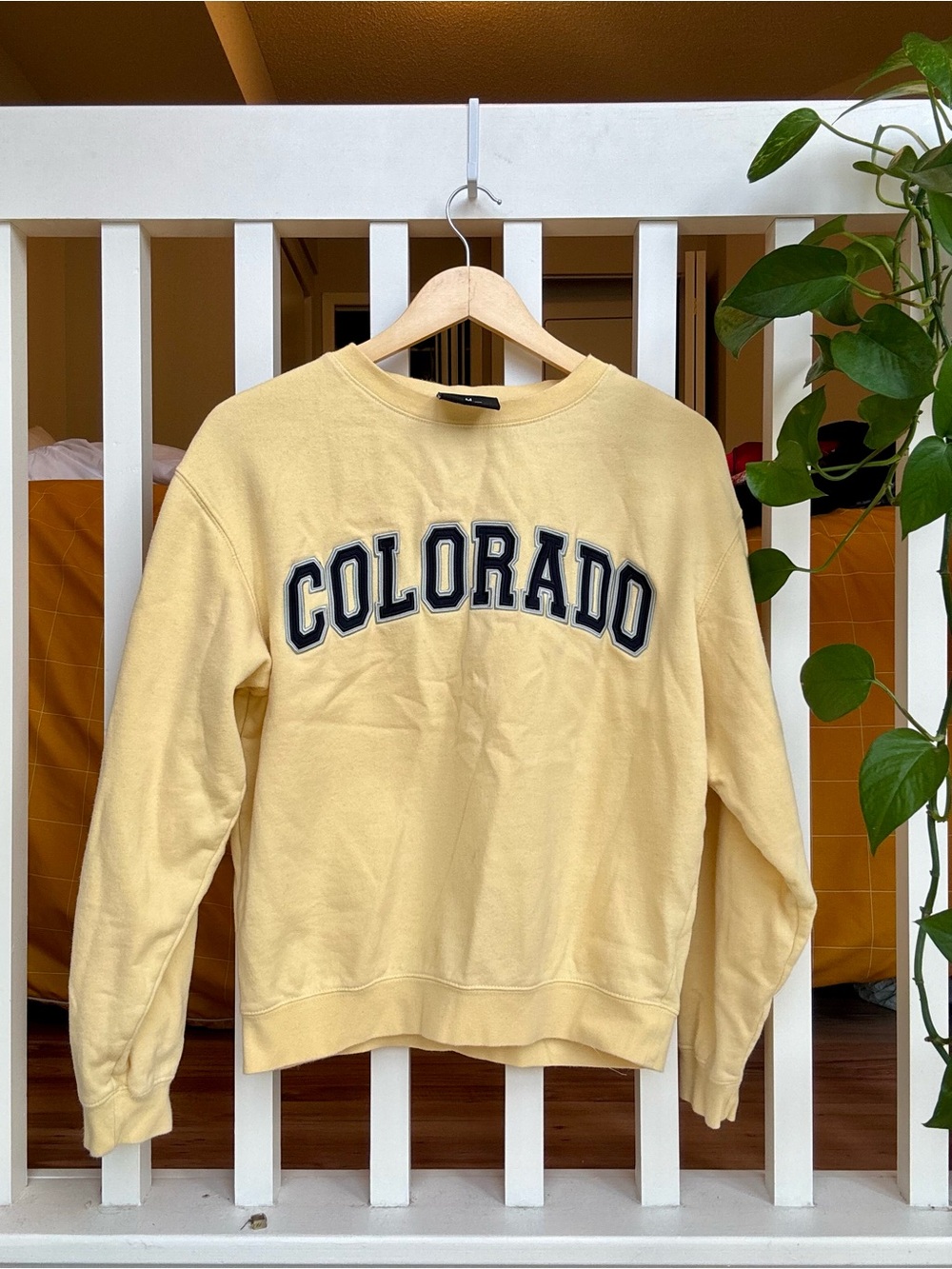 Colorado Crewneck Sweatshirt - Pale Yellow